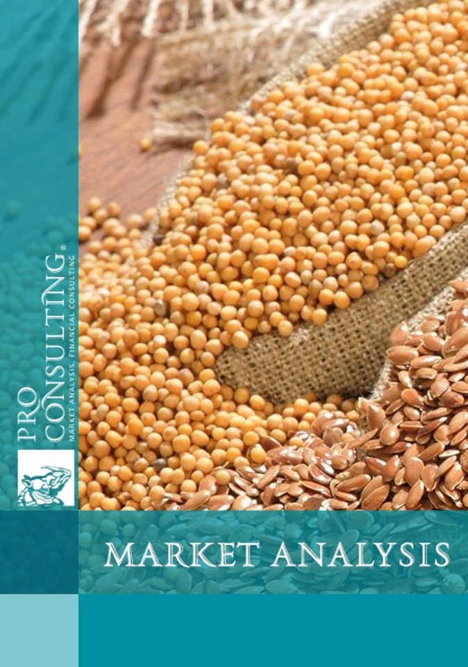 Market research report on feed in Ukraine. 2023 year